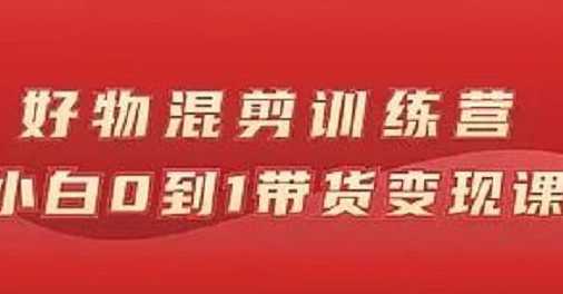 抖音好物混剪训练营：小白从0到1带货变现实操课