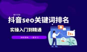 收费599的抖音SEO关键词排名优化入门到精通系统课程