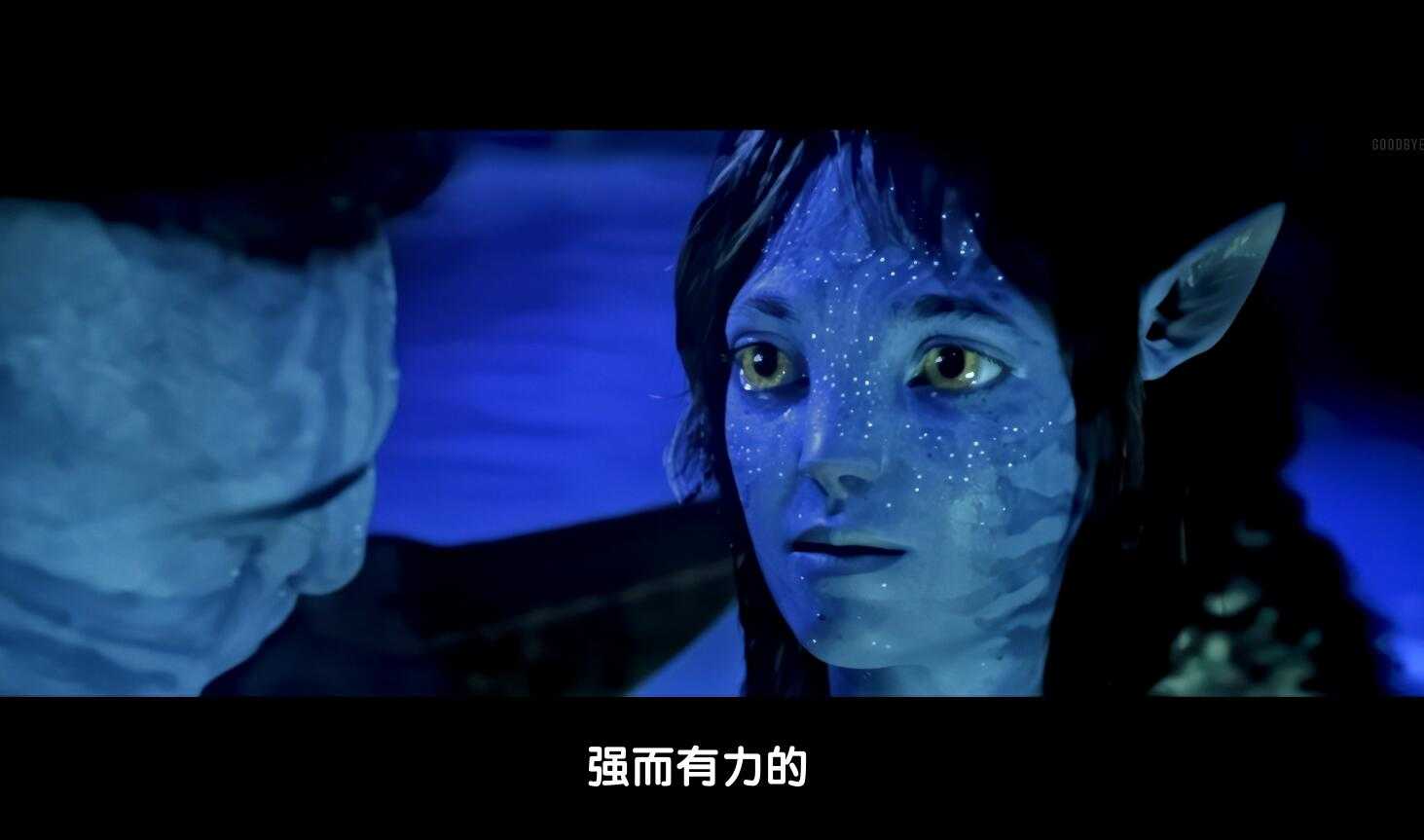 2022《阿凡达：水之道》4K正式版 【4k UHD 杜比全景声】外挂中文字幕