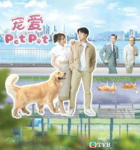 喜剧/爱情《宠爱Pet Pet》20集 1080P粤语中字