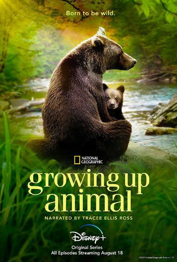 4K 《动物成长》Growing Up Animal 第一季] [全06集] [英语中字]