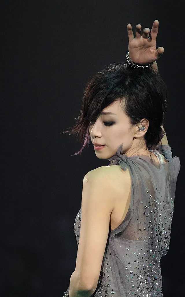 林忆莲 Sandy Lam Concert 2012 MMXI 香港演唱会 《BD  1080P》