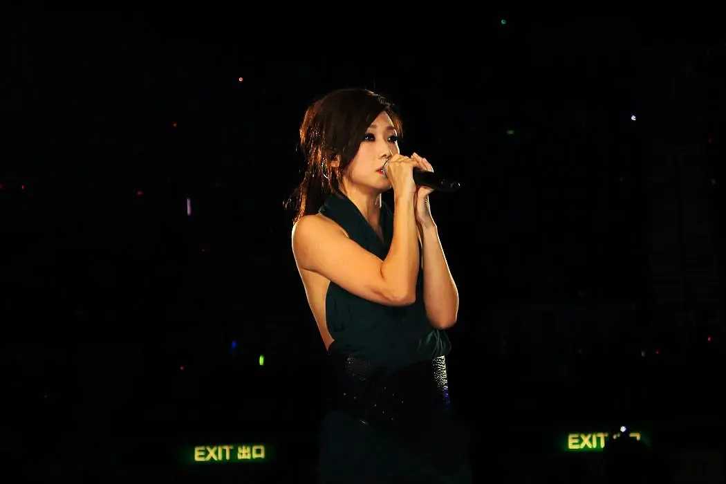 林忆莲 Sandy Lam Concert 2012 MMXI 香港演唱会 《BD  1080P》