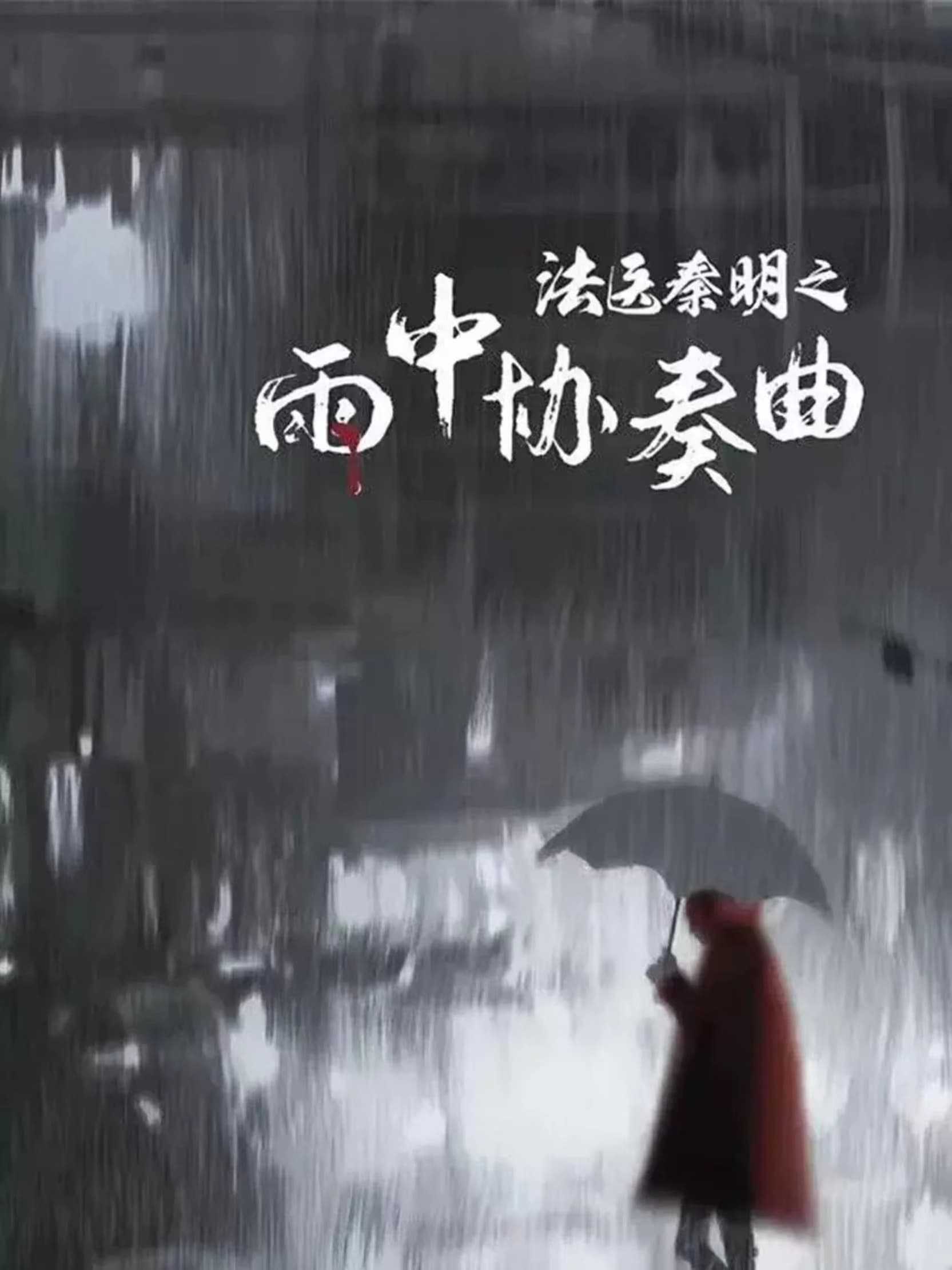 2023🔥《法医秦明之雨中协奏曲》4K60帧 应昊茗/梁缘/魏峰/洪爽/唐振超/杨萍