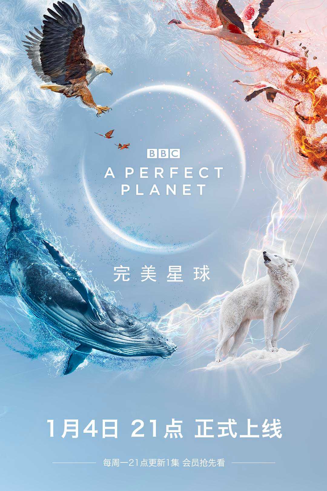 BBC纪录片《完美星球》4K REMUX 【英配+央视国配+腾讯国配+特效字幕】【全网唯一】