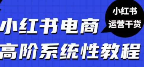 小红书电商高阶系统教程，新手从入门到精通系统课