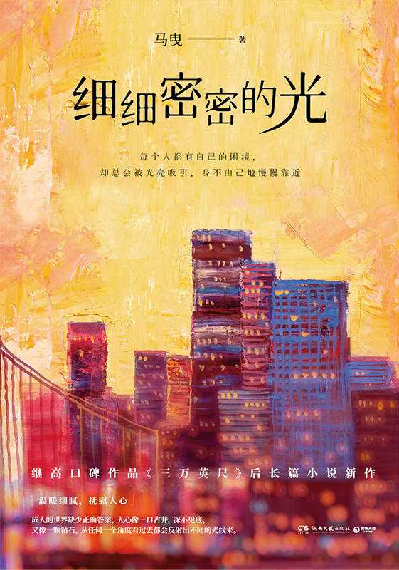 【epub/mobi/azw3/PDF格式电子书】《细细密密的光》 作者: 马曳