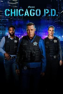 芝加哥警署 第十一季 Chicago P.D. Season 11