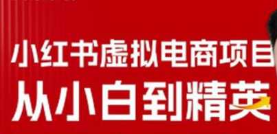 小红书虚拟电商项目3.0，全网首发单号月收益过万可批量