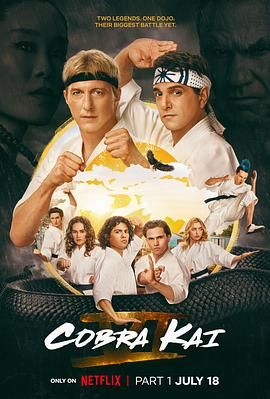 眼镜蛇 第六季 Cobra Kai Season 6