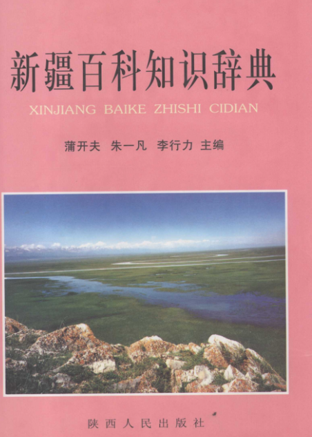 新疆百科知识辞典 陕西人民出版社 pdf