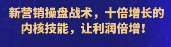 新营销操盘战术 十倍增长的内核技能 让利润倍增！