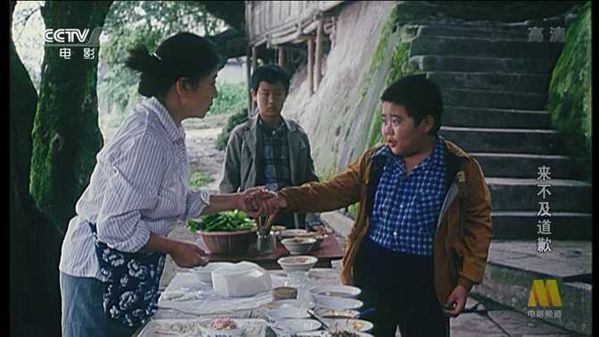 来不及道歉.1995.国语无字.1080P