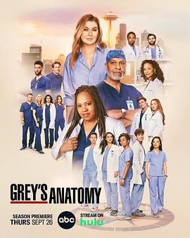 实习医生格蕾 第二十一季 Grey's Anatomy Season 21