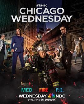 芝加哥急救 第十季 Chicago Med Season 10