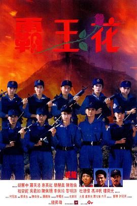 霸王花与霸王花,Lady Enforcers,The Inspector Wears Skirts