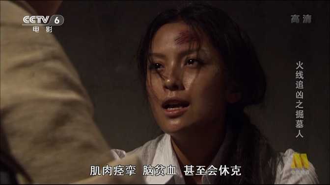 火线追凶之掘墓人.2009.国语中字.1080P