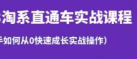 淘系直通车保姆式运营讲解，新手如何从0快速成长实战操作，新手多方位全能教学