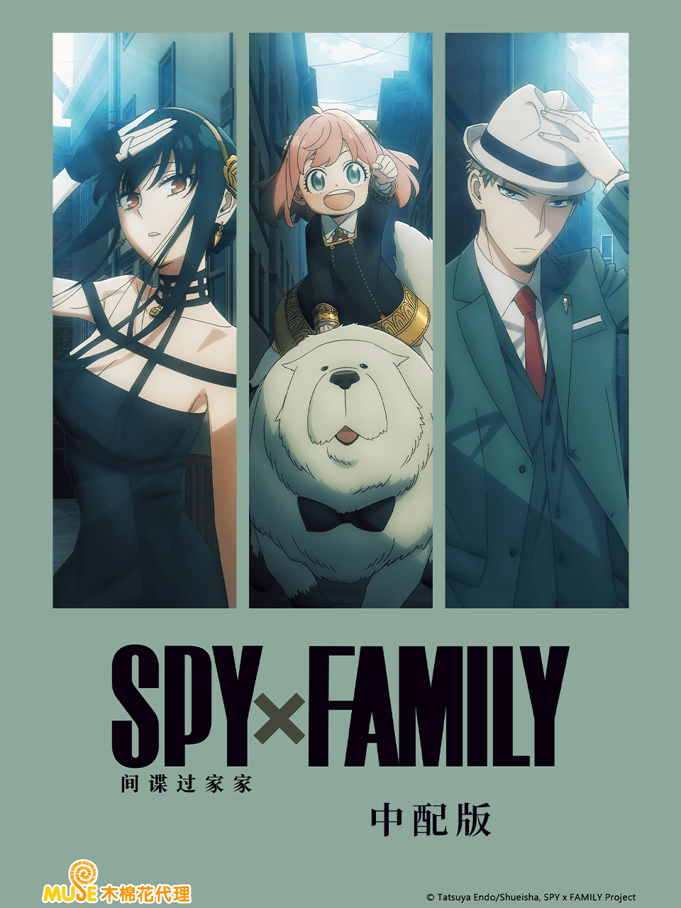 间谍过家家 SPY×FAMILY 第一二季 国语中配版 集均0.6GB 【19.7GB】