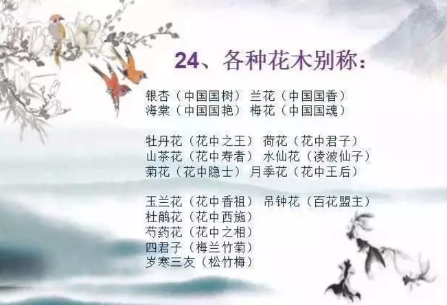 《给孩子的极简诗人传》240首经典诗词诠释 320个文史常识和典故 读懂2000年中国诗歌史 [pdf]