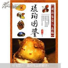 《琥珀图鉴--琥珀鉴赏与选购》 [pdf]