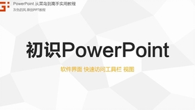 PPT从菜鸟到高手实用教程