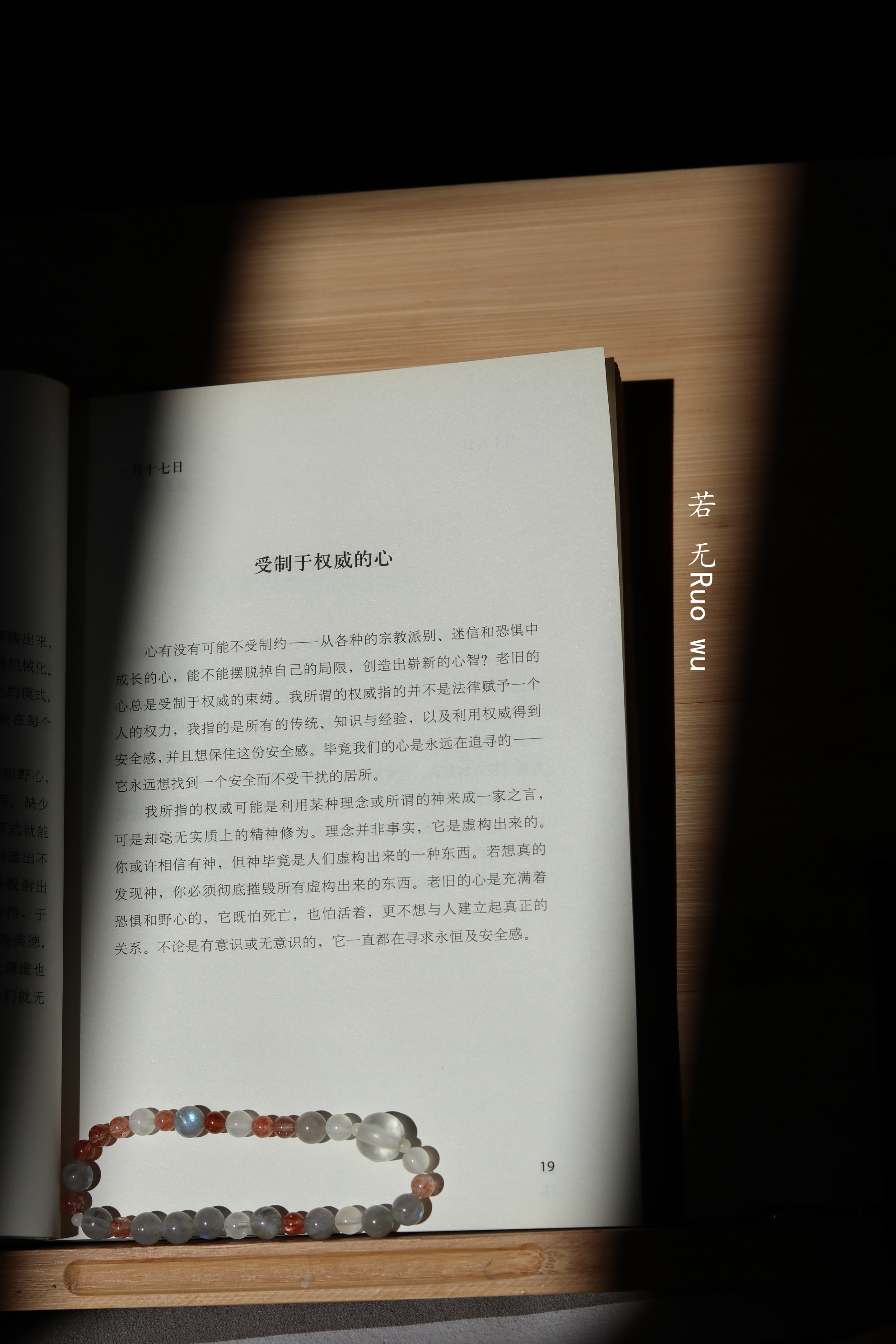 《人生没有白读的书》刘心武读书的随笔集 [epub]