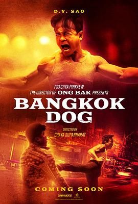 曼谷战狼 Bangkok Dog