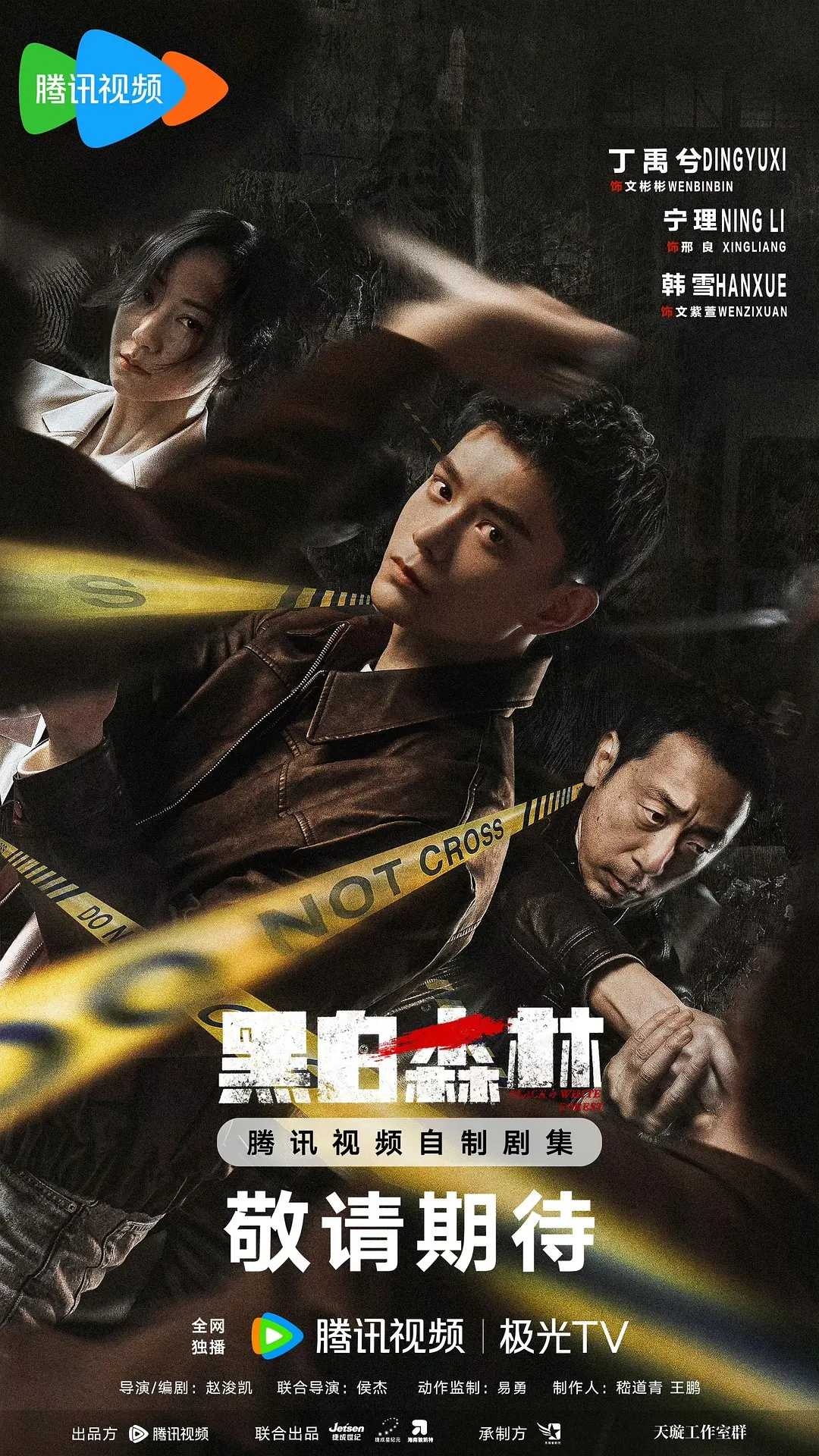 黑白森林 (2024) [悬疑 犯罪] [丁禹兮 宁理 韩雪 孙逊] 已更最新  [4k高码]