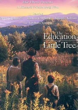 小树的故事 The Education of Little Tree (1997)丨8.5分