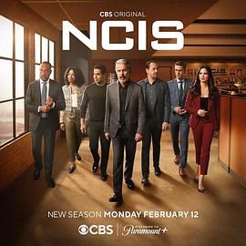 海军罪案调查处 第二十一季 NCIS: Naval Criminal Investigative Service Season 21