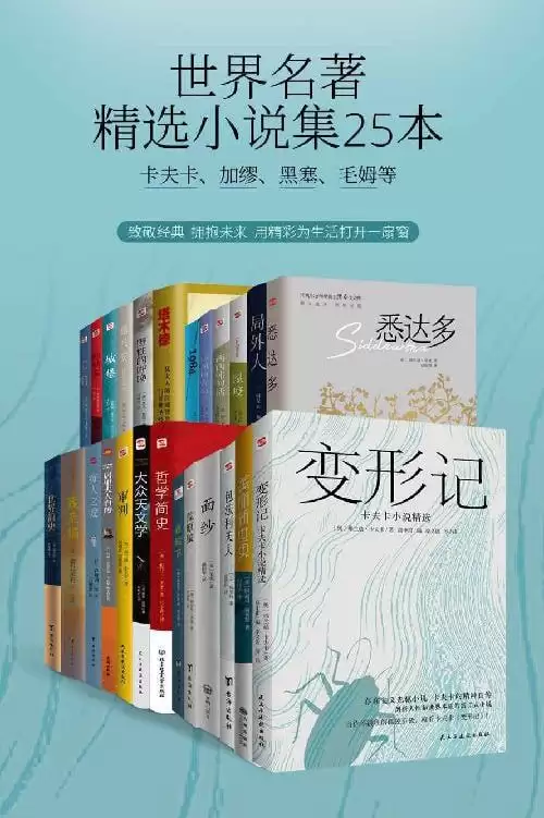 《世界名著精选小说集》25本 生活之味 [pdf]